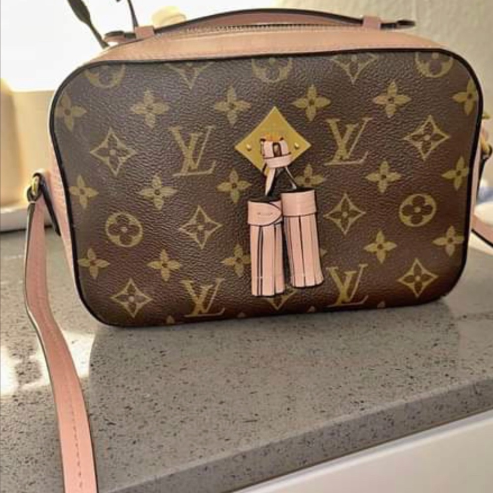 Louis Vuitton monogram saintonge bag